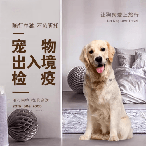 萍乡市宠物托运到哥伦比亚猫狗宠物入境规定和