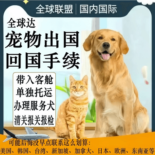 萍乡市宠物托运到柬埔寨宠物入境规定和要求