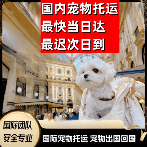 萍乡市到澳大利亚（澳洲）宠物入境规定和要求
